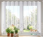 Donata_A.jpg
